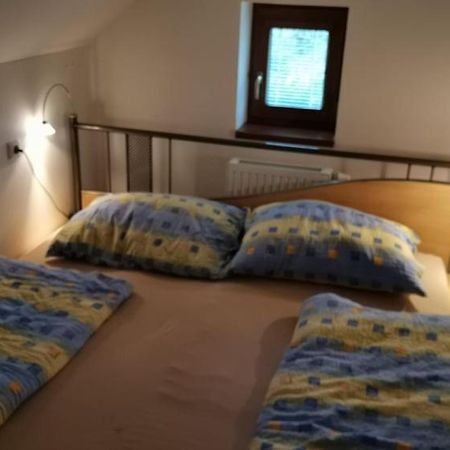 Apartmán Damiko Appartamento Chřibská Esterno foto