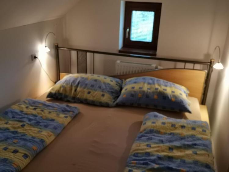 Apartmán Damiko Appartamento Chřibská Esterno foto