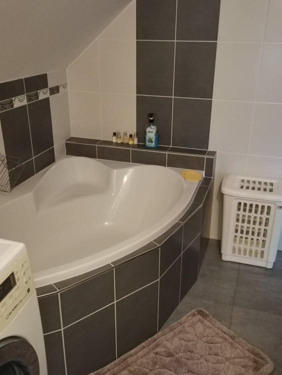 Apartmán Damiko Appartamento Chřibská Esterno foto