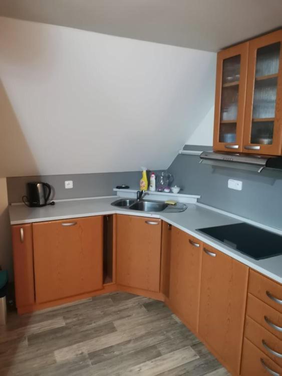 Apartmán Damiko Appartamento Chřibská Esterno foto