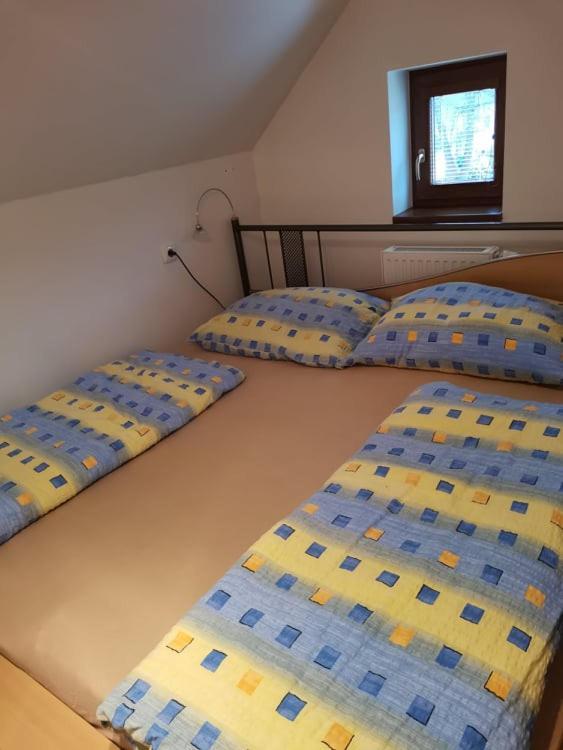 Apartmán Damiko Appartamento Chřibská Esterno foto